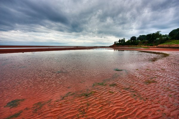 sable rouge