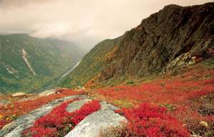 Parc National des Hautes-Gorges de la Rivière Malbaie