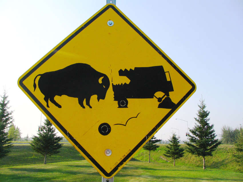 Delta_Junction_American_Bison_Sign Expérience Canadienne