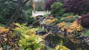 Public gardens Halifax